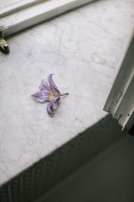 A single purple flower rests on a bright marble windowsill, capturing tranquility.