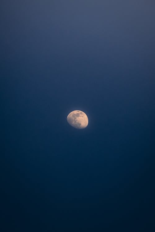 Free Moon on the Night Sky Stock Photo