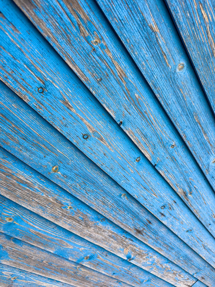 Blue, Wooden Wall