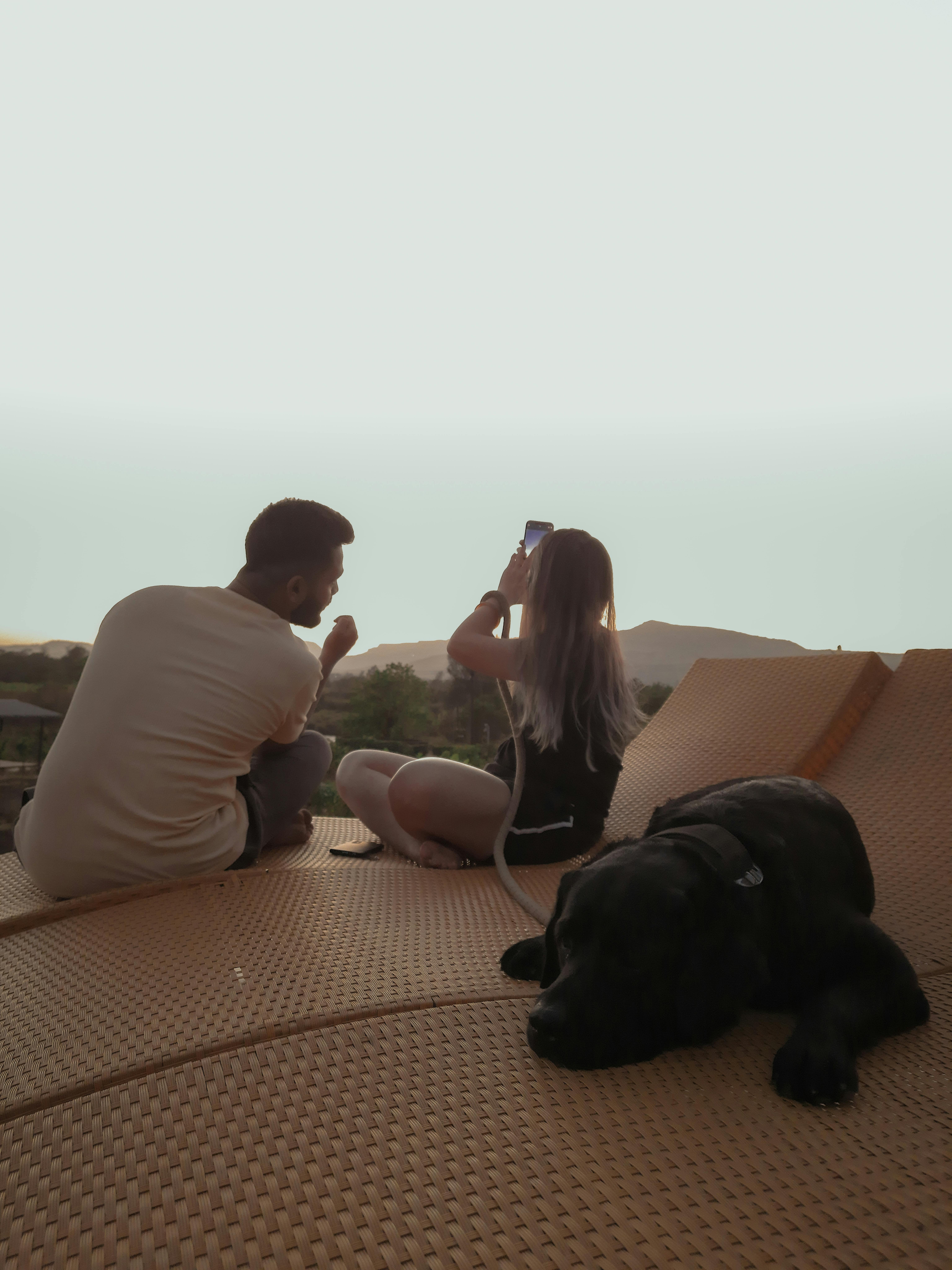 Disease Dog Photos, Download The BEST Free Disease Dog Stock Photos