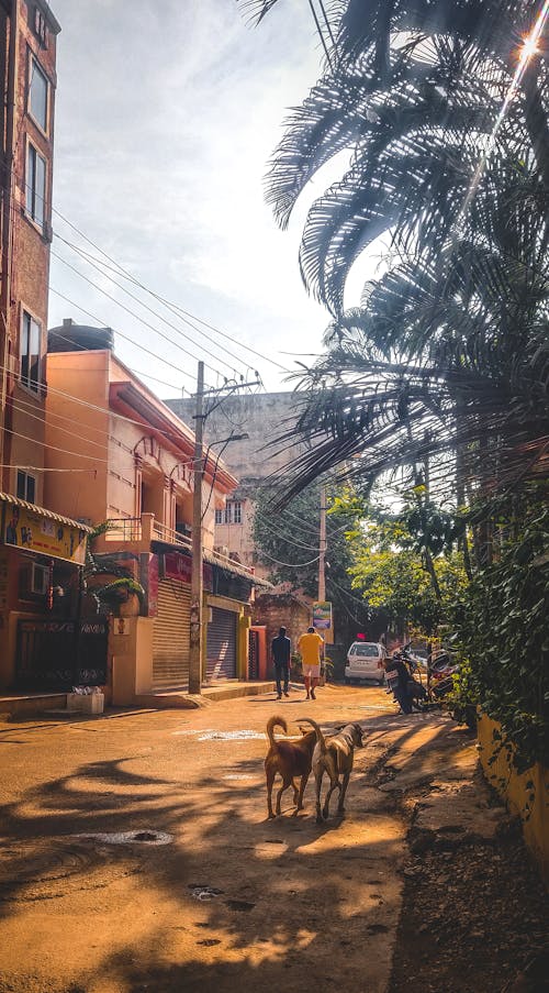 Street of India