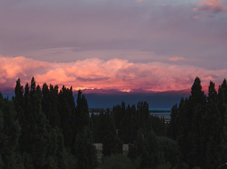 Stunning view of sunset over Torres del Paine with silhouetted trees and dramatic clouds in Patagonia.
