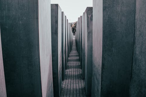 Fotobanka s bezplatnými fotkami na tému Berlín, berlínska katedrála, Canon