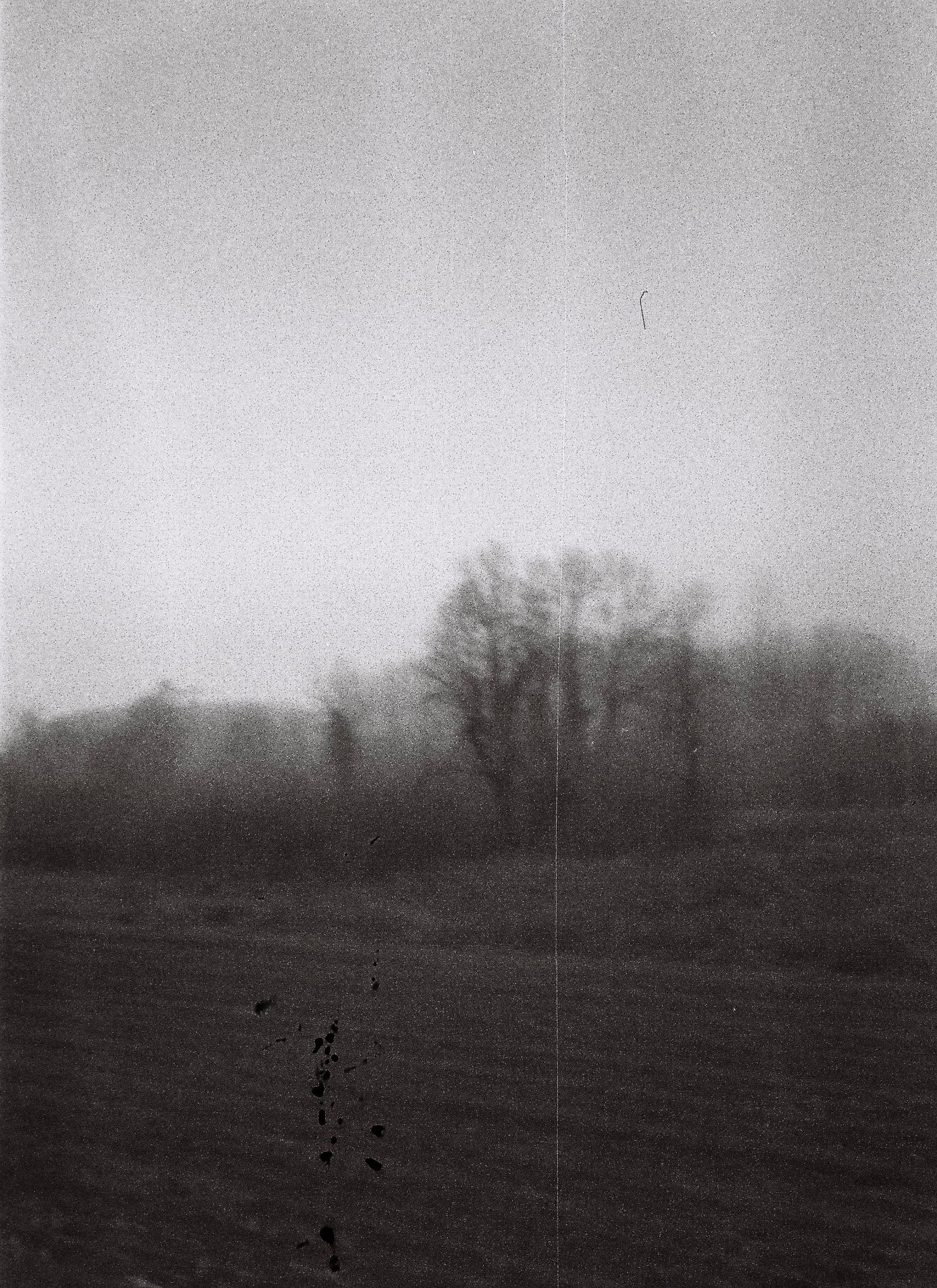 Black and white image of a misty rural landscape with trees and fields.