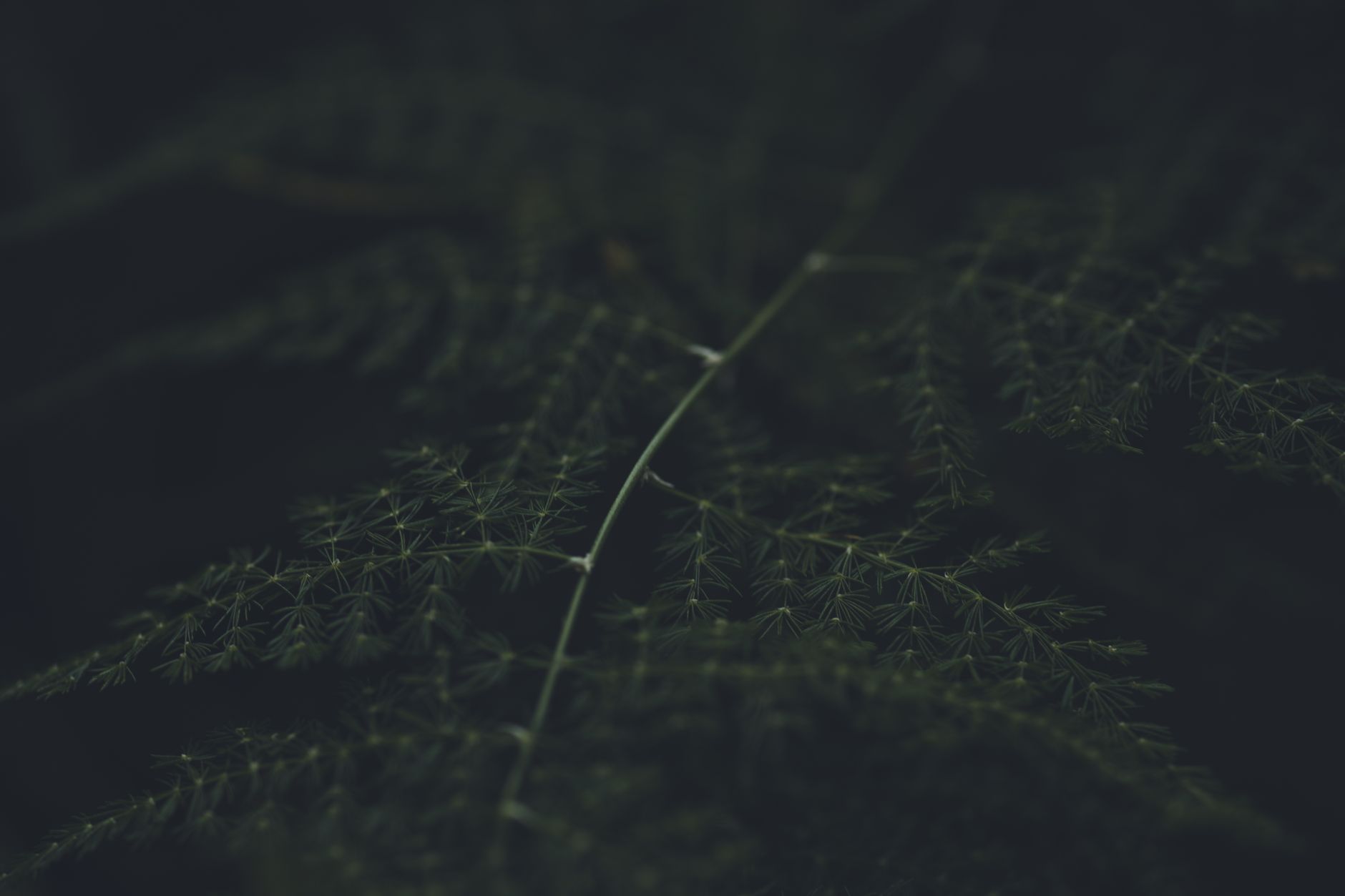 Why Independent Artists Create Concept Projects (And Why It Works)