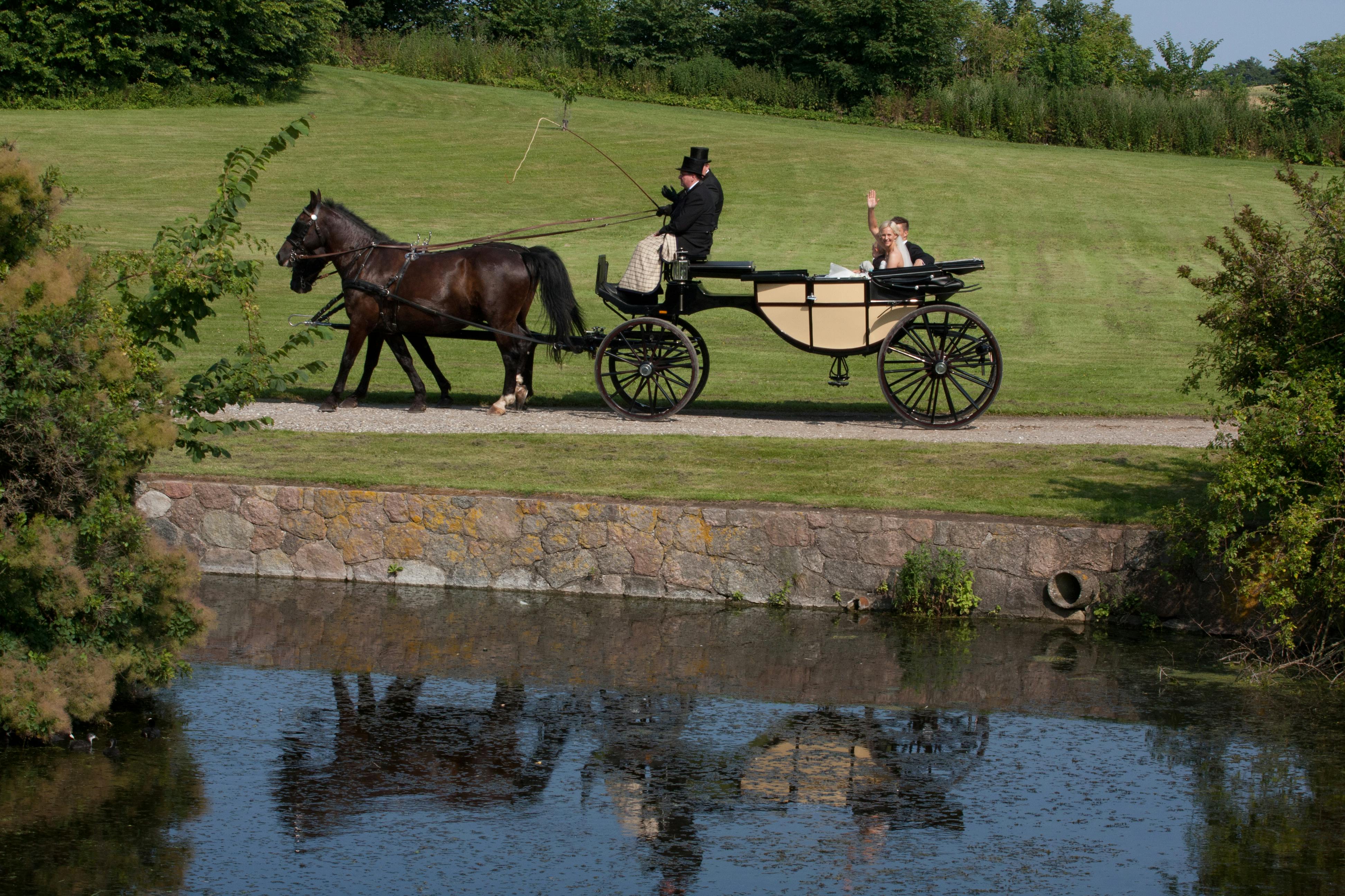 People Riding On Carriage · Free Stock Photo
