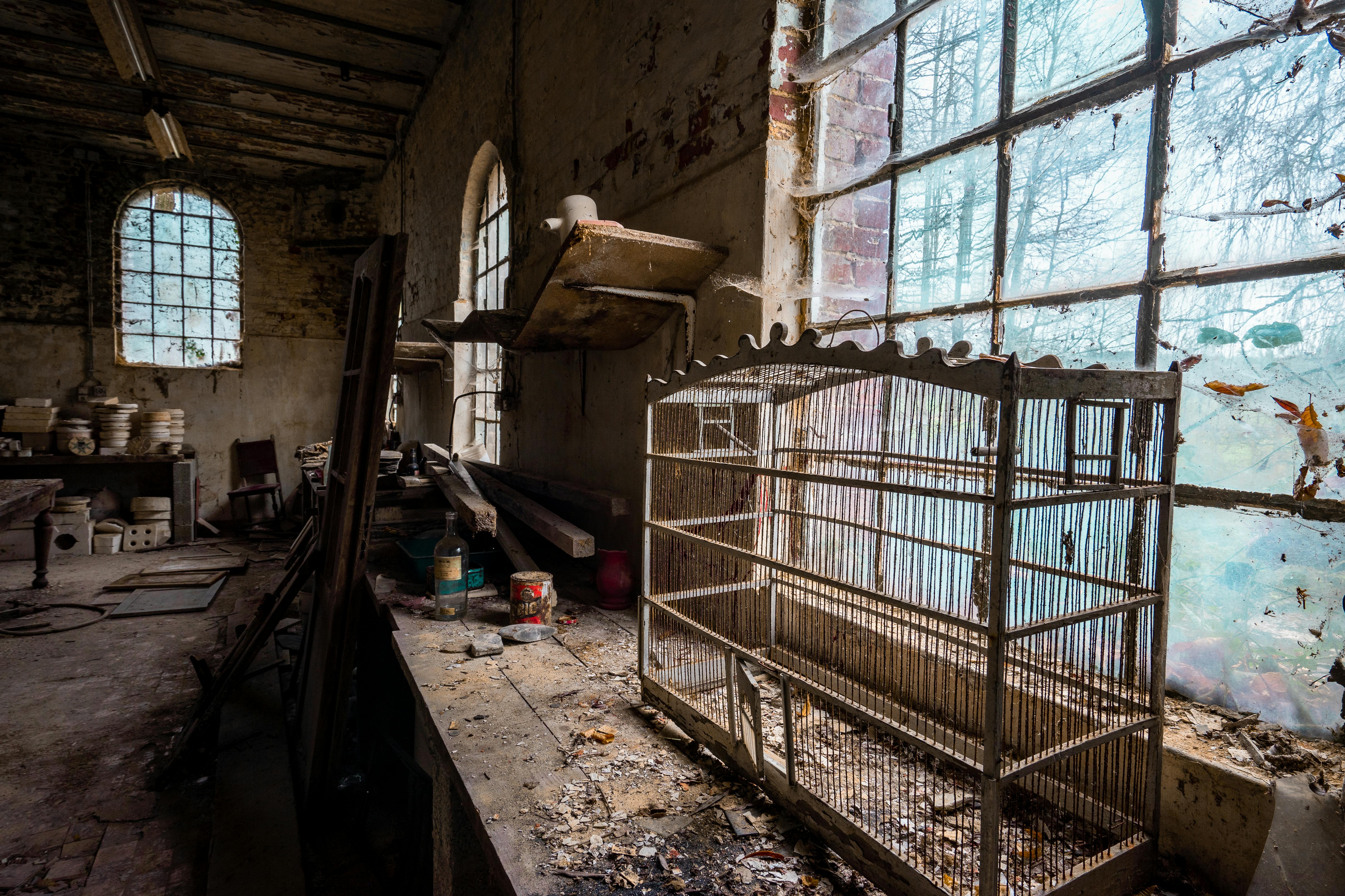 A derelict workshop featuring a dusty birdcage, shelves filled with clutter, and broken windows.