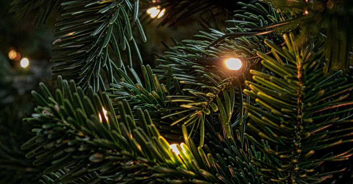 Ilmainen Kuvapankkikuva Aiheesta Joulu Joulukoriste Joulukoristelu ilmainen-kuvapankkikuva-aiheesta-joulu-joulukoriste-joulukoristelu