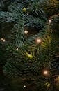 圣诞树枝叶的细节特写，灯光闪烁，节日氛围尽显