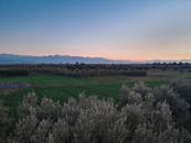 黎明时分，马拉喀什附近郁郁葱葱的农田风景如画，展现了摩洛哥充满活力的景观