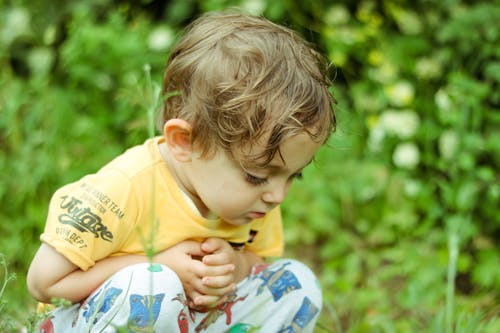 alan, bebek, çim içeren Ücretsiz stok fotoğraf
