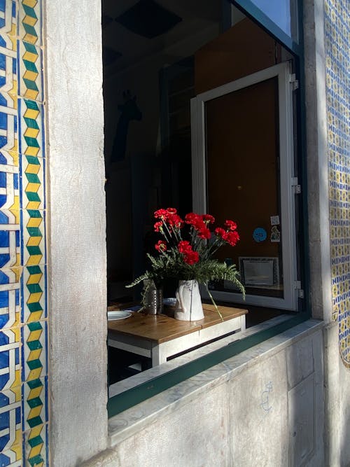 Free stock photo of azulejos, bar, bar cafe