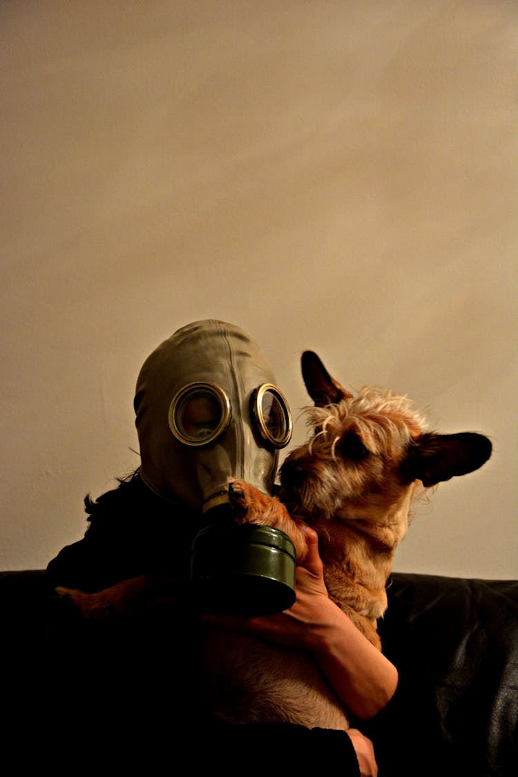 Portrait Of A Man Wearing Mask With Dog