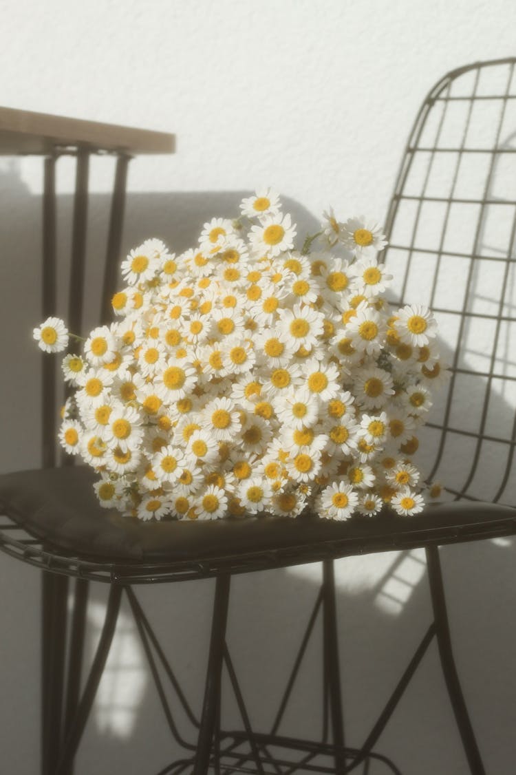 Bunch Of Spring Dandelions On Chair