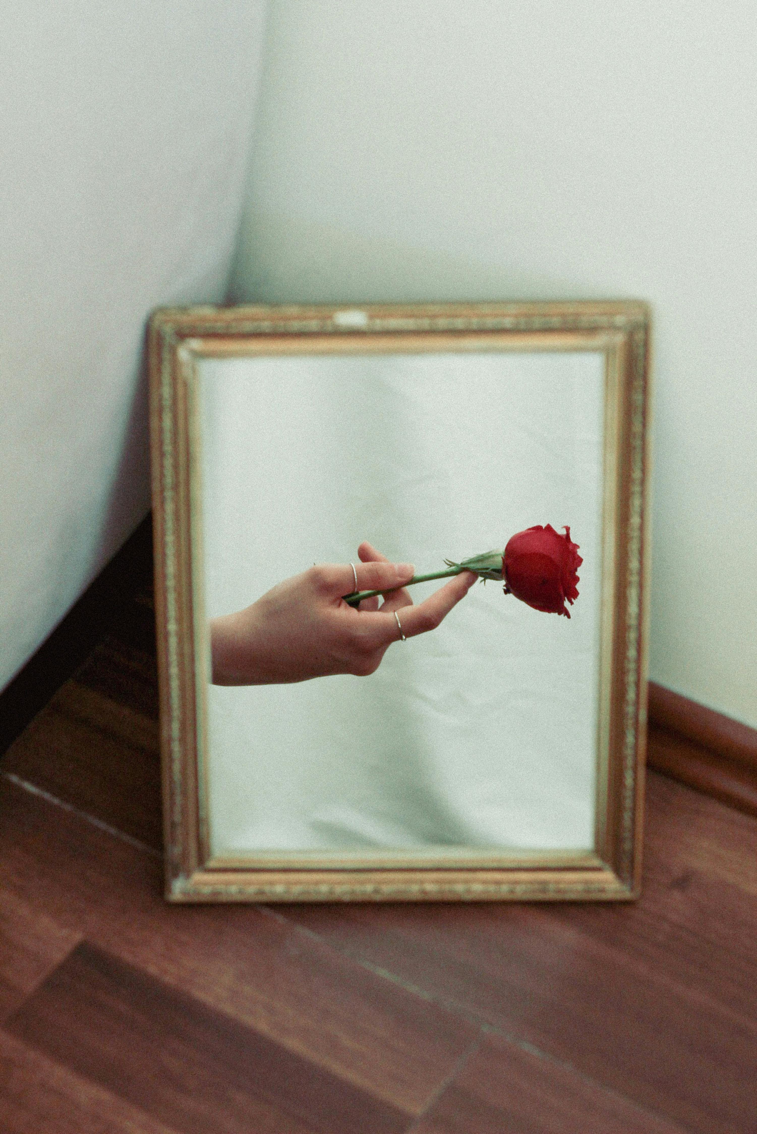 A hand holding a red rose reflected in a vintage mirror indoors.