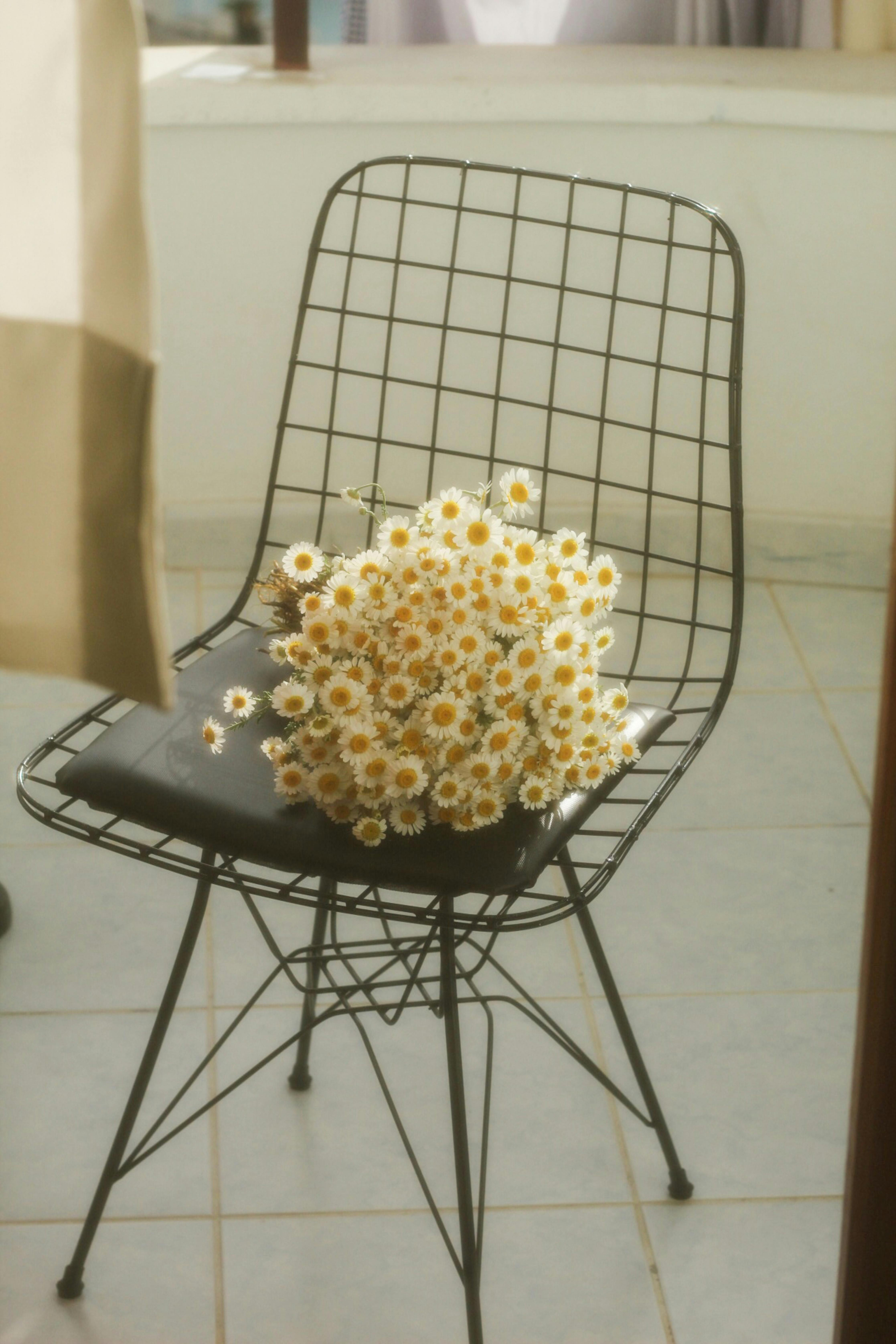 A bouquet of daisies rests on a modern wire chair, evoking a fresh spring vibe.
