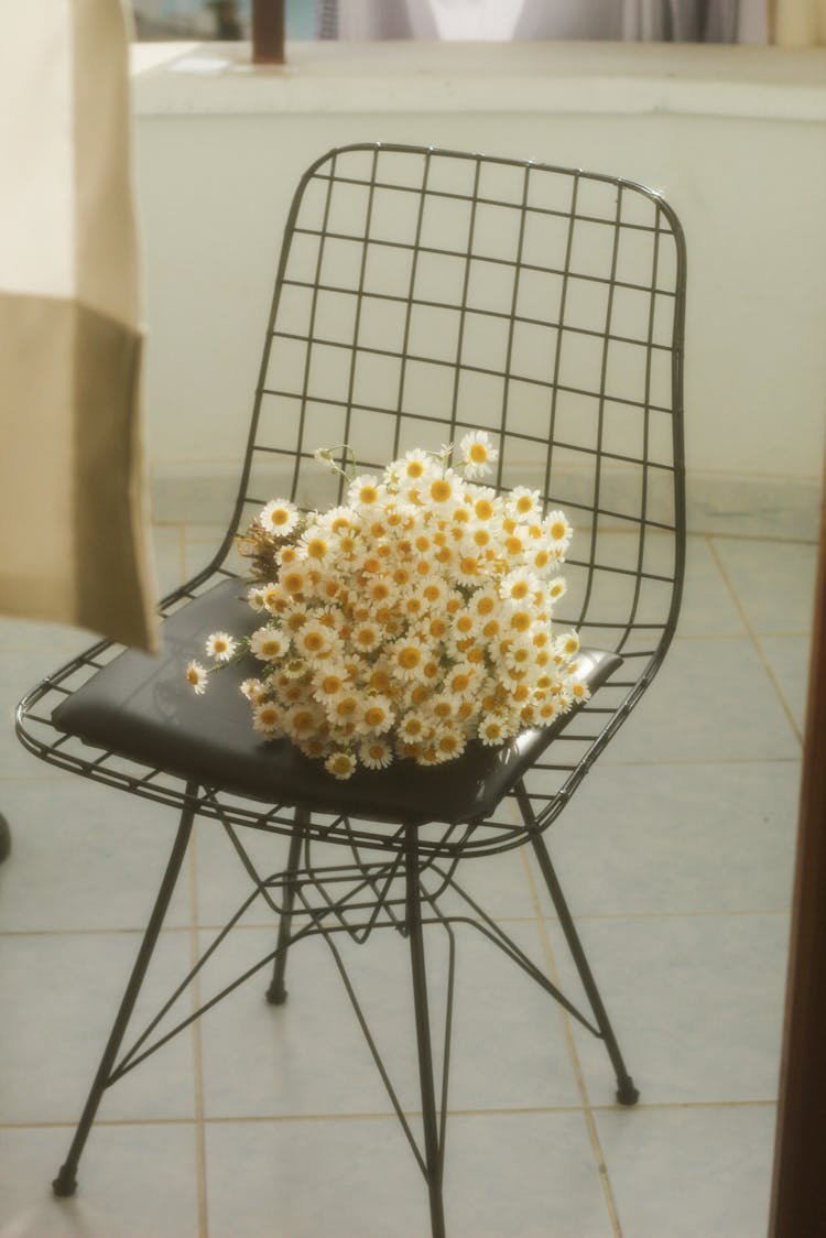 Bunch Of Dandelions On Chair