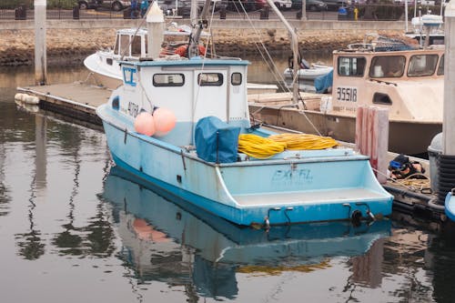 Imagine de stoc gratuită din ambarcațiune, ancorat, bărci de pescuit