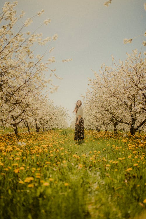 Woman Standing in Blossoming Orchard