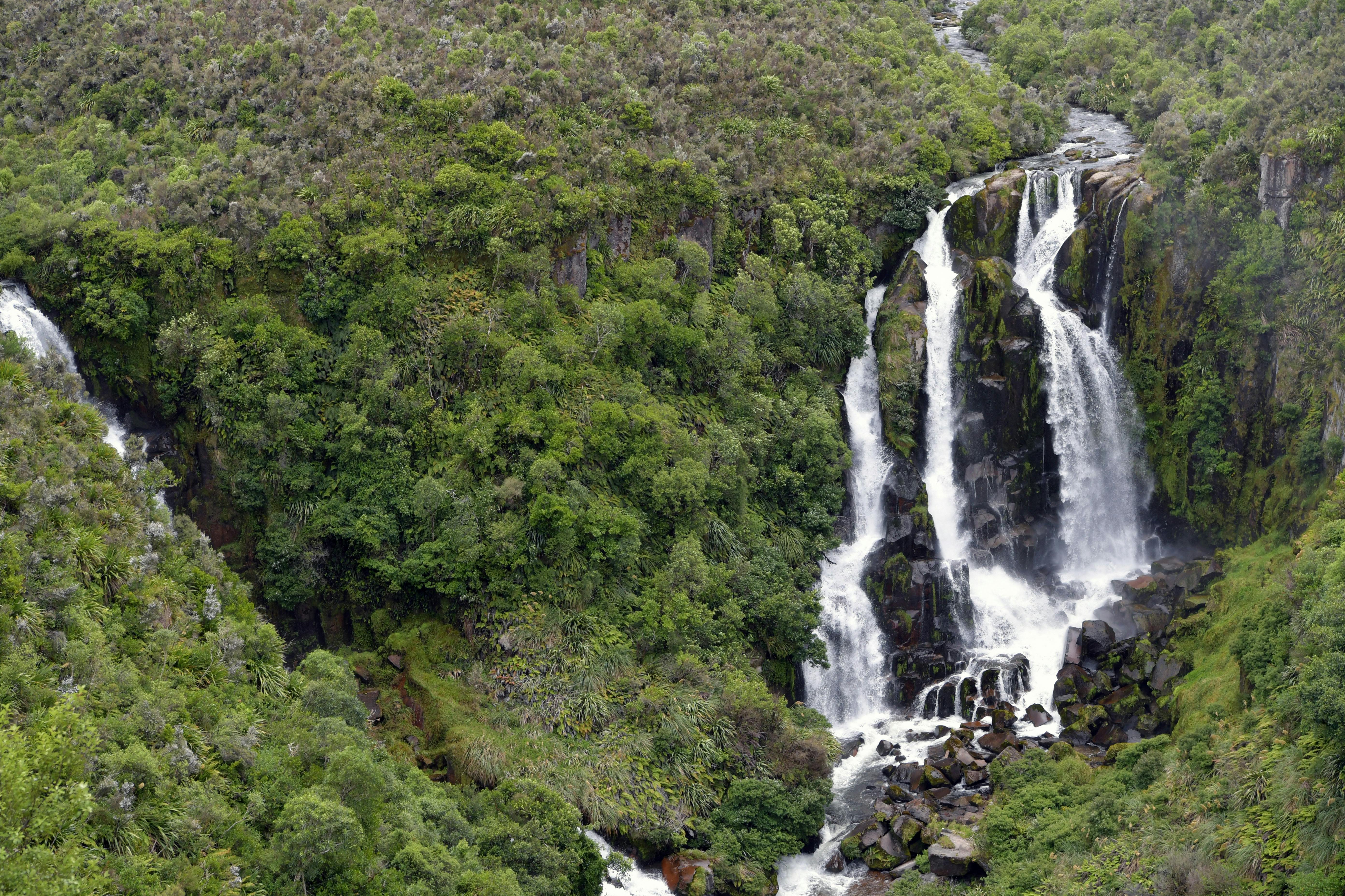 general travel new zealand ltd — Photo by Chen Te on Pexels
