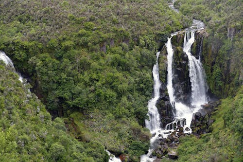 Foto profissional grátis de aerofotografia, cachoeira, floresta tropical