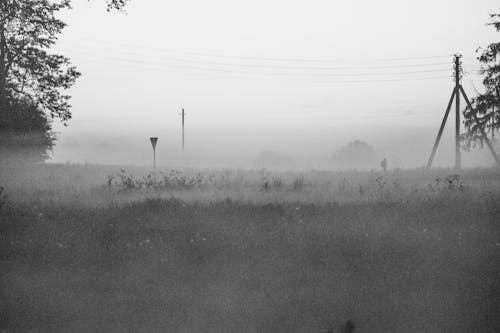Black and White Field Covered in Fog 
