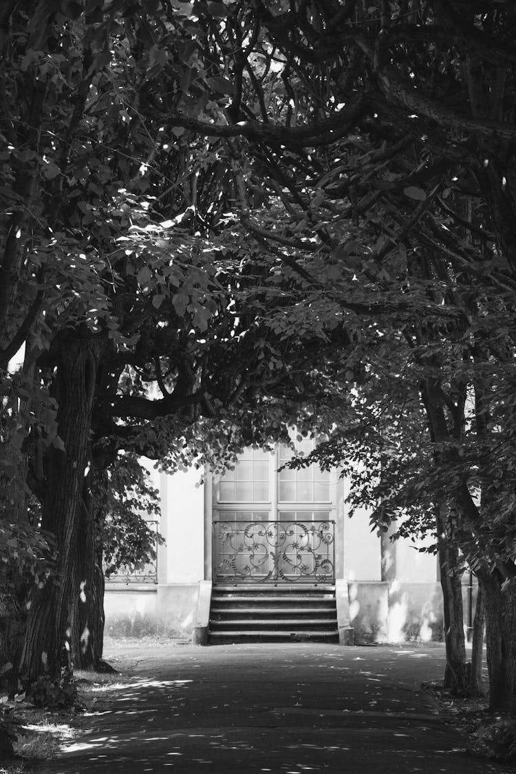 Park Alley Leading To Building Entrance