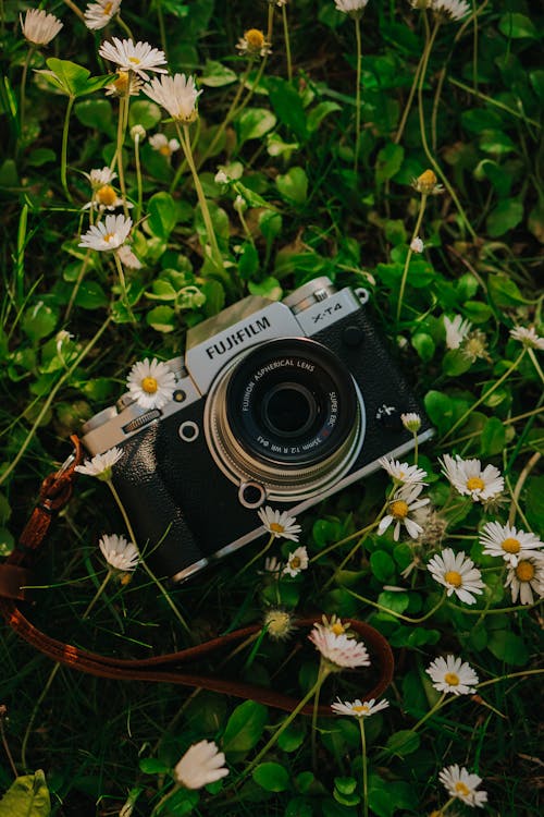 Fujifilm Camera on Flower Meadow