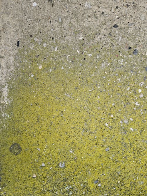 Darmowe zdjęcie z galerii z beton, betonowa podłoga, kamień