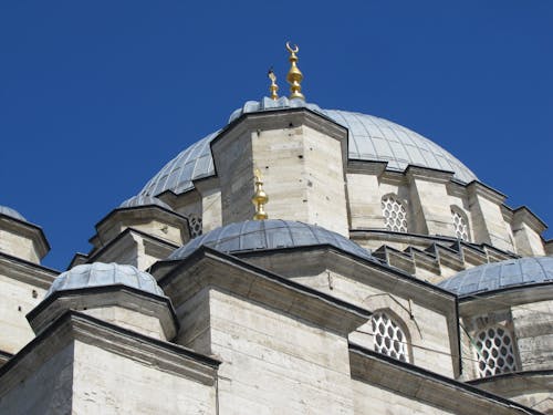 Ilmainen kuvapankkikuva tunnisteilla islam, Istanbul, kalkkuna