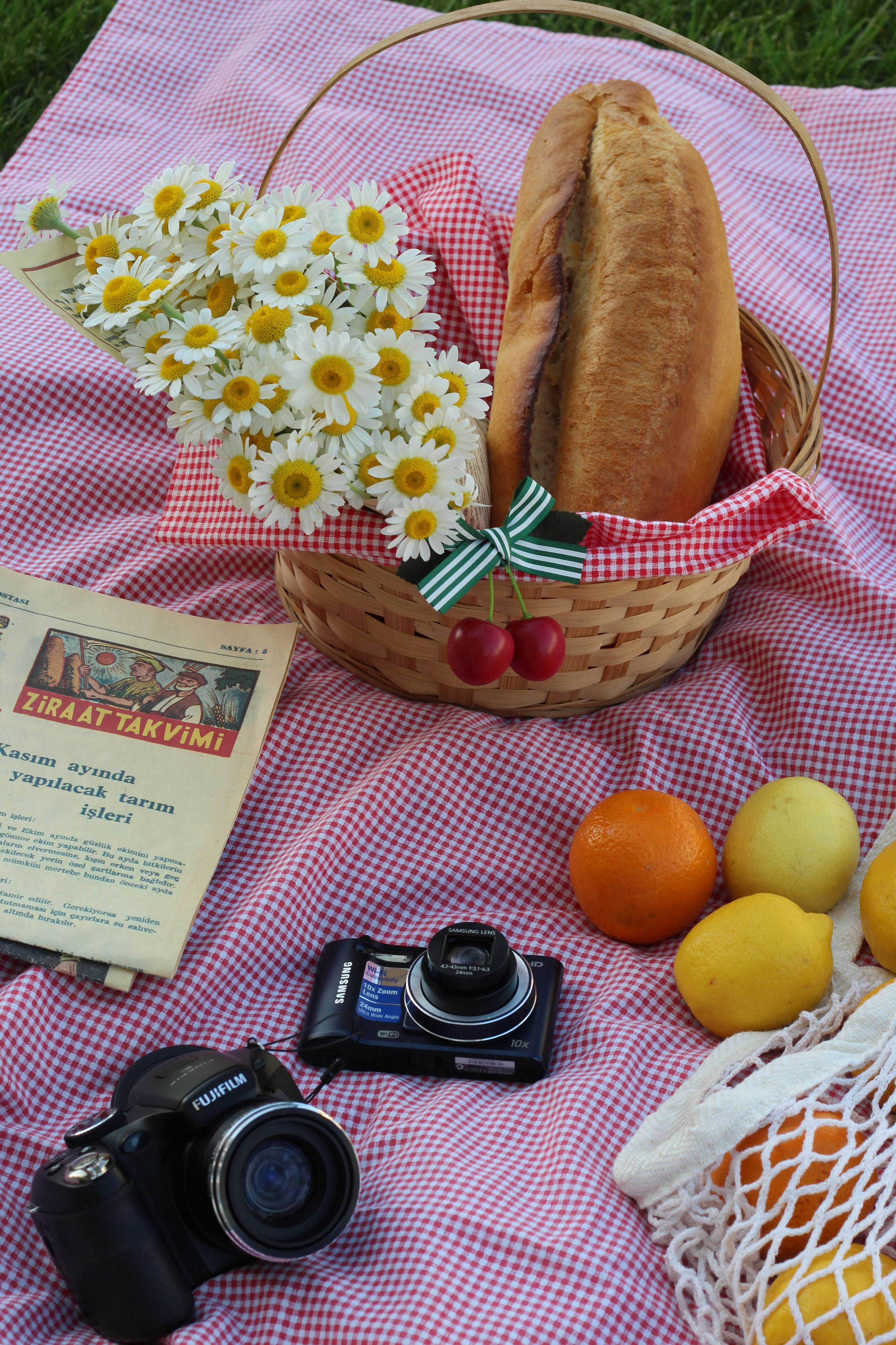 A picnic basket with bread, flowers, and cameras on a red checkered blanket.