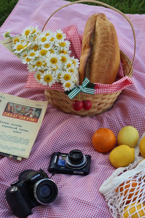 Food and Cameras on a Blanket on a Picnic 