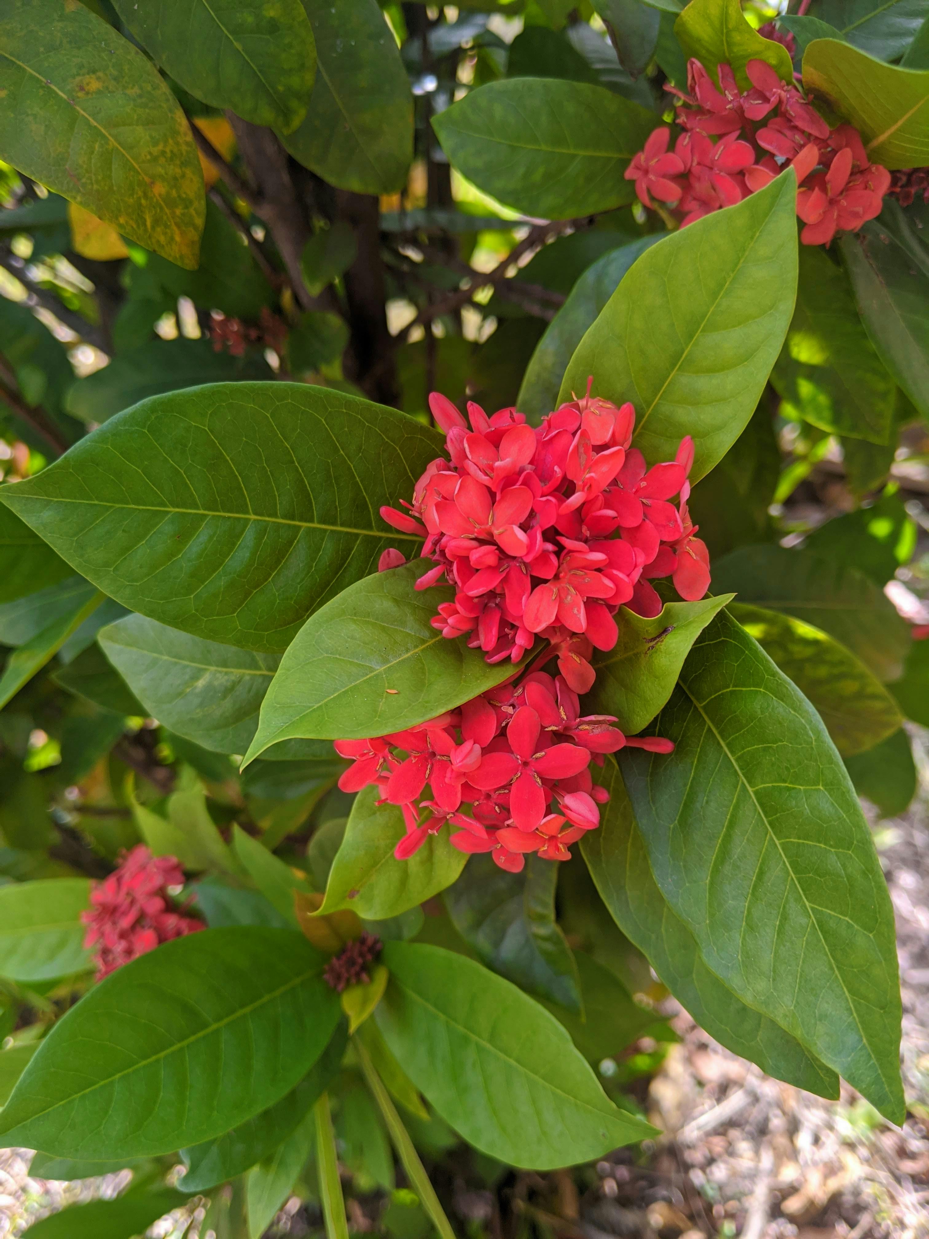 Camille Daniel Fotografie