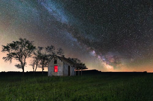 Foto d'estoc gratuïta de abandonat, arbres, astrologia