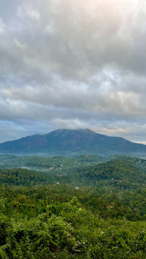 Ingyenes stockfotó amazon esőerdő, felhő, felhő erdő témában