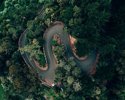Curvy Road on Mountainside