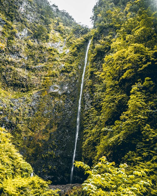 Waterfall on Mountain in Madeira, Portugal