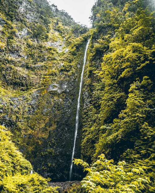 Photos gratuites de beauty in nature, cascade, day