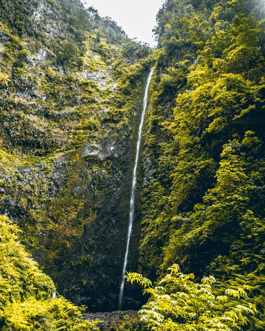 Breathtaking waterfall amidst Madeira's vibrant greenery, offering a serene natural escape.