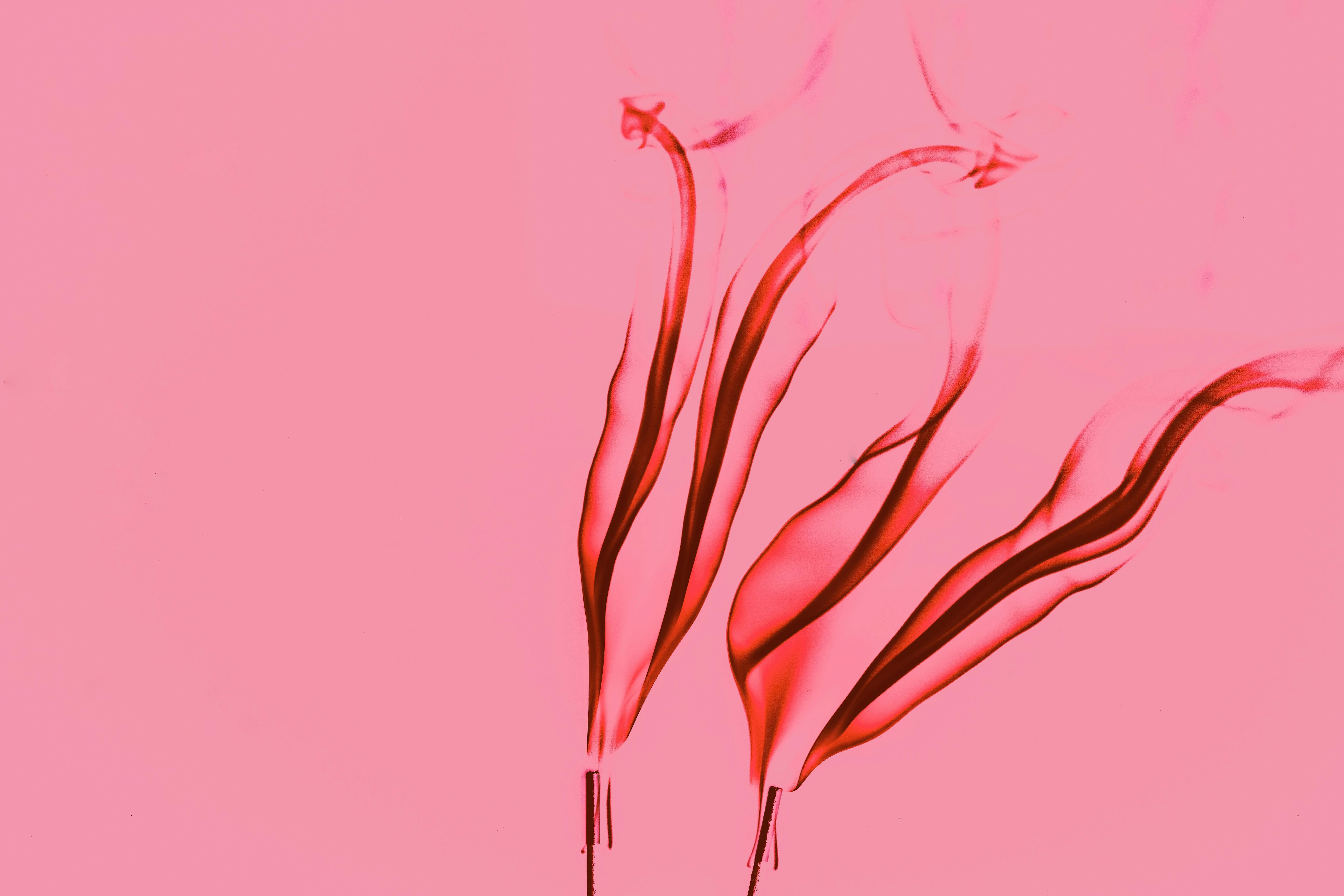 ピンクの炎の抽象的な壁紙 無料の写真素材