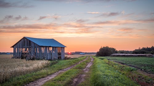 Abandoned Barn by Dirt Road in Countryside