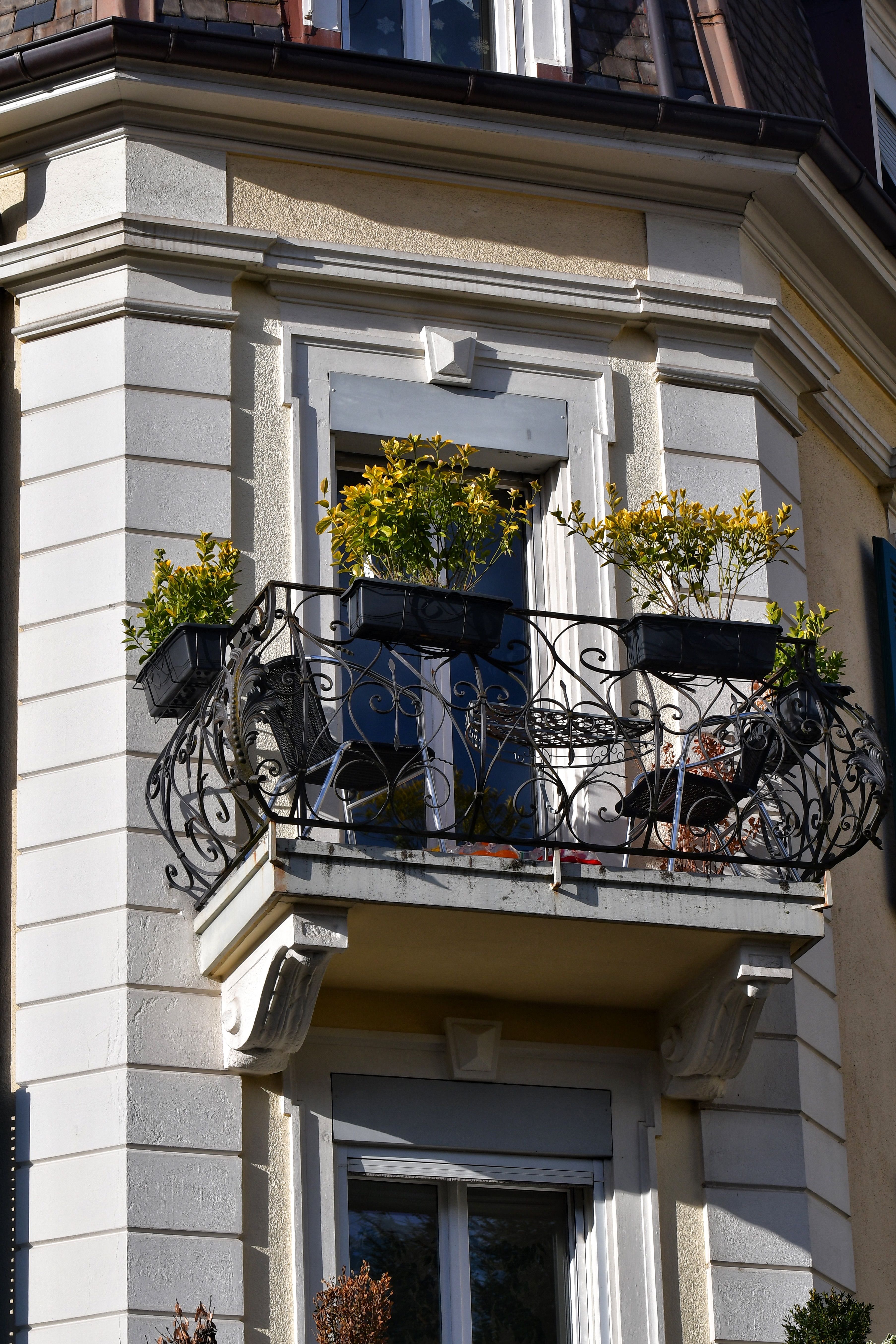 Free A beautiful urban balcony adorned with potted plants basking in sunlight, accentuating classic architecture. Stock Photo