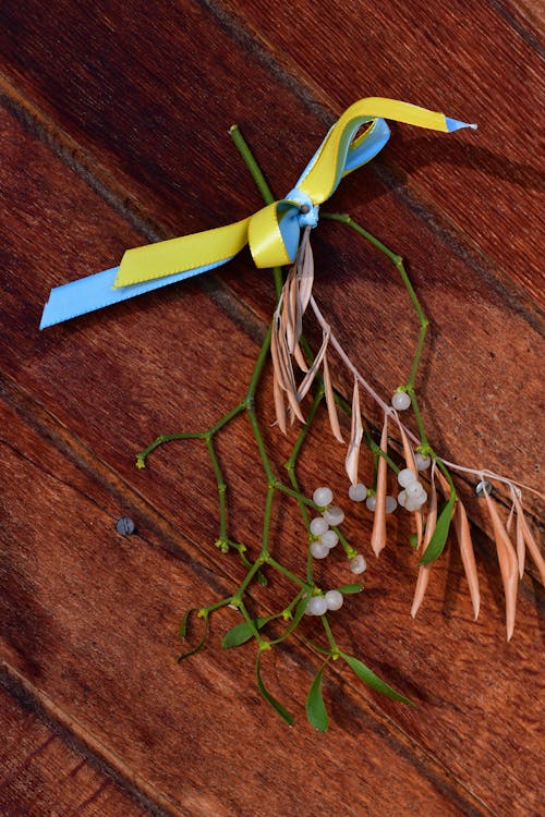 Close up of Branches and Ribbon