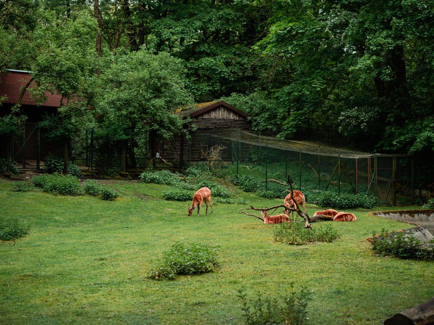 Parc Slottsskogen à Göteborg