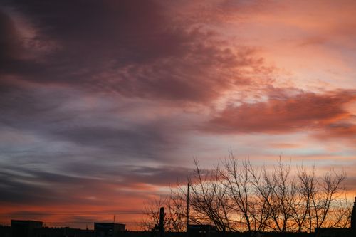 Free A vibrant twilight sky with silhouetted trees and warm hues of orange and purple. Stock Photo