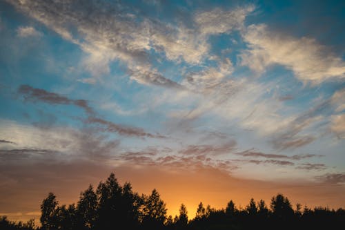 Clouds in Sky over Forest at Dusk