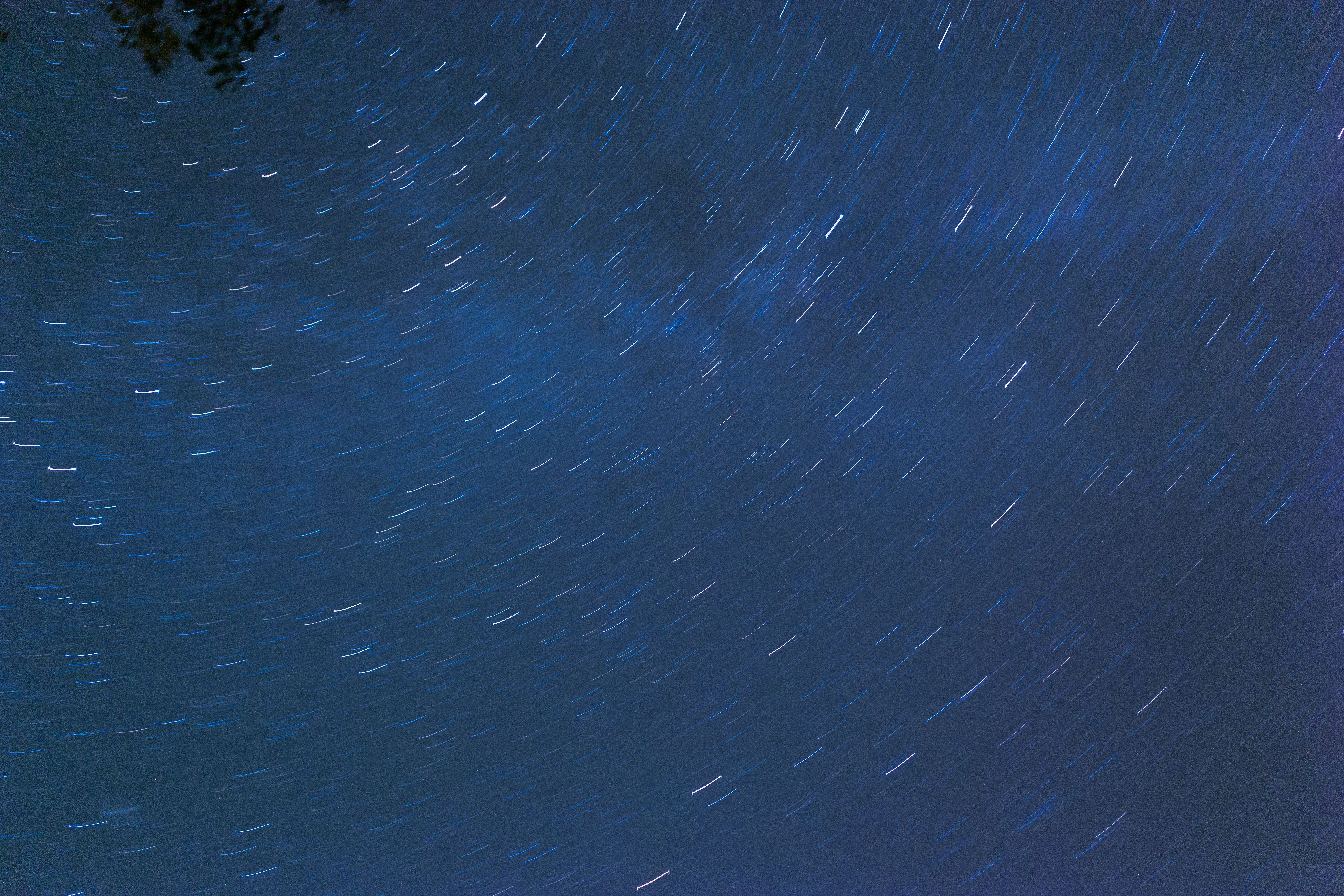 A star trail in the sky above a tree · Free Stock Photo
