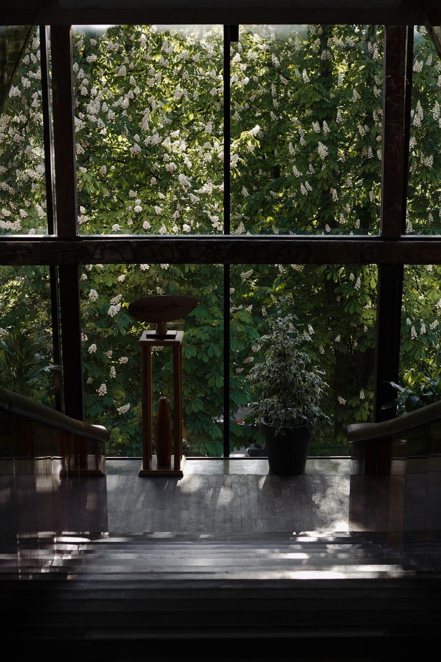 Timber-framed glazing looking onto a flowering garden, photo by Anna Shakhrai on Pexels