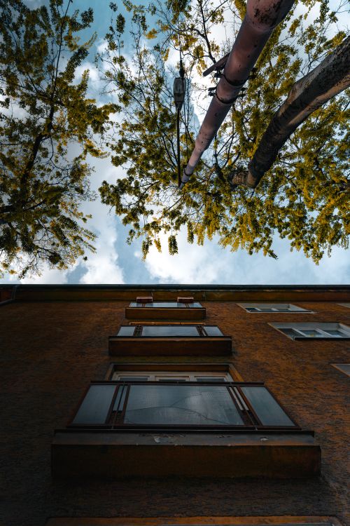 Free Low angle view of a residential building facade with trees above, conveying urban nature contrast. Stock Photo