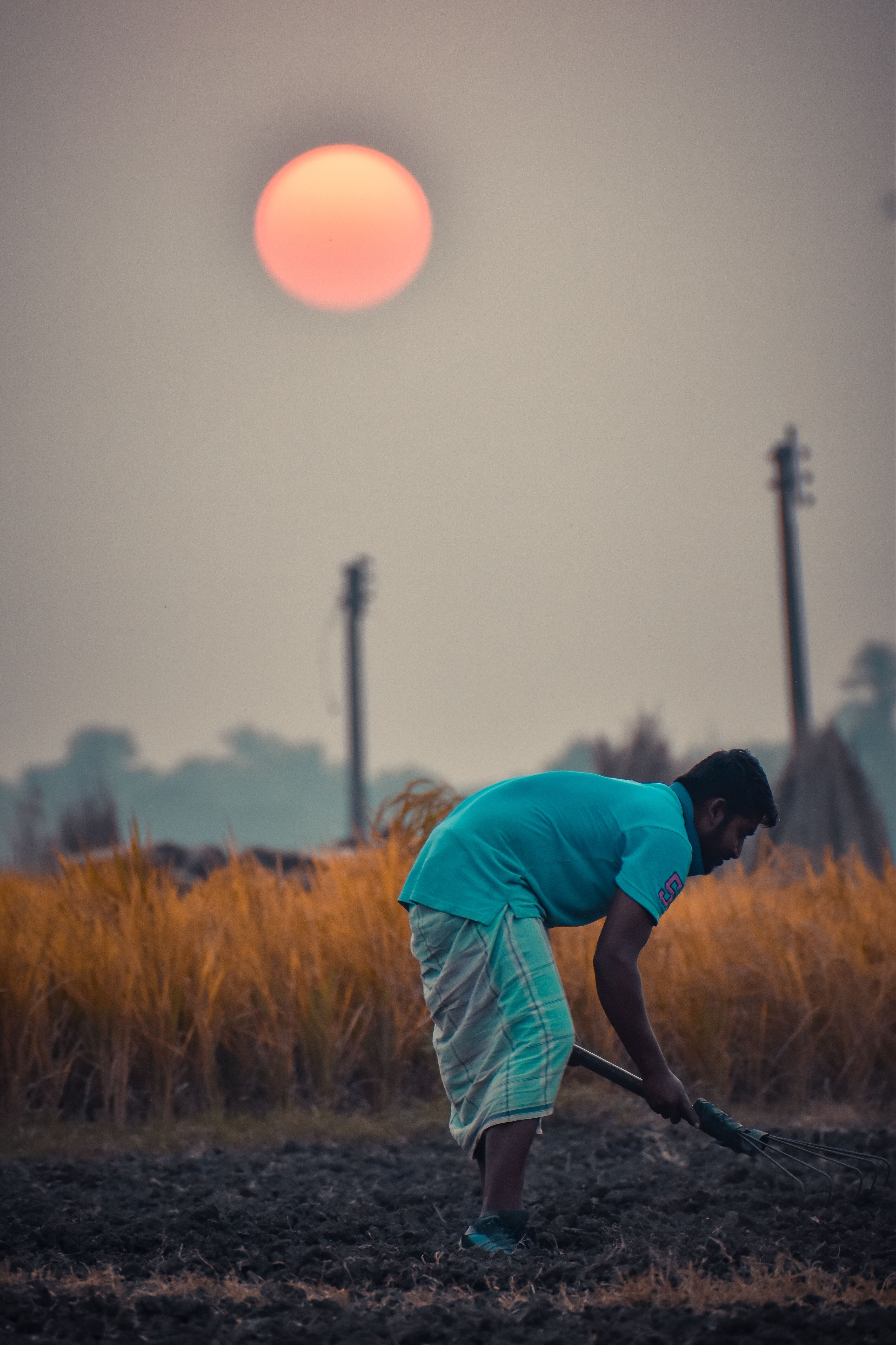 A farmer working in a field during sunset, showcasing rural life and agriculture.